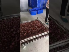 عربة شبكة سلكية من الفولاذ المقاوم للصدأ للتجفيف