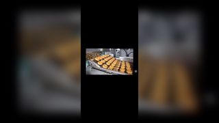 الفولاذ المقاوم للصدأ فرن البيتزا سلم سلسلة ربط الناقل شقة شبكة سلكية فليكس حزام للشوكولاتة enrobe،