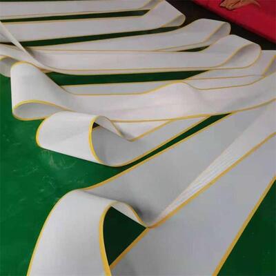 Customized Plain Woven Polyester Mesh Conveyor Belt for Paper Making Sludge Dewatering Dryer